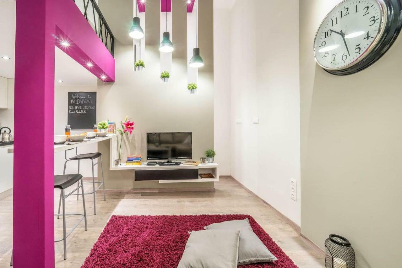 Cozy Downtown Studio Apartment 布达佩斯 外观 照片